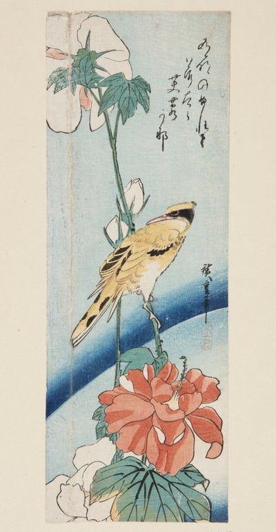 Hibiscus et Loriot à nuque noire - Ando or Utagawa Hiroshige