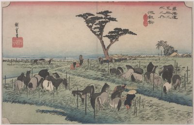 Foire aux chevaux au début de l