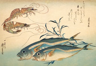Chinchard japonais et crevette tigre japonaise - Ando or Utagawa Hiroshige