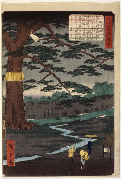 Miyuki Pine - Ando or Utagawa Hiroshige