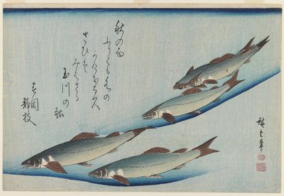 École de cinq truites de mer, période Edo - Ando or Utagawa Hiroshige