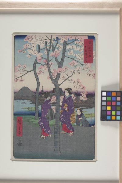 La berge de Sumida dans la capitale orientale (Tōto: Sumida Tei) - Ando or Utagawa Hiroshige