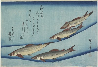 Truite - Ando or Utagawa Hiroshige