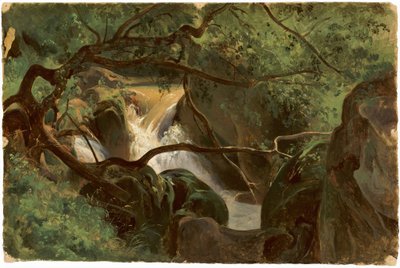 Intérieur de forêt avec une cascade, Papigno - André Giroux
