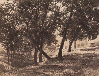 Arbres, vers 1855 - André Giroux