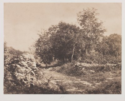 Scène sans titre de Fontainebleau, vers 1853 - André Giroux