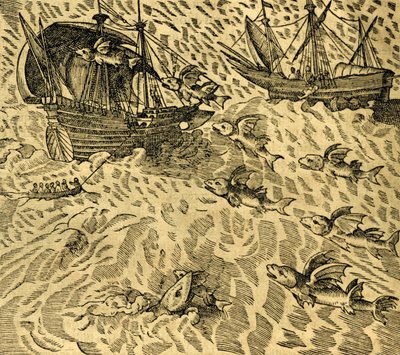 Poissons volants dans les mers tropicales, gravure de Cosmographie Universelle, par André Thevet (1504-1592), Paris - Andre Thevet