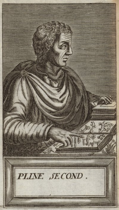 Gaius Plinius Caecilius Secundus - Andre Thevet