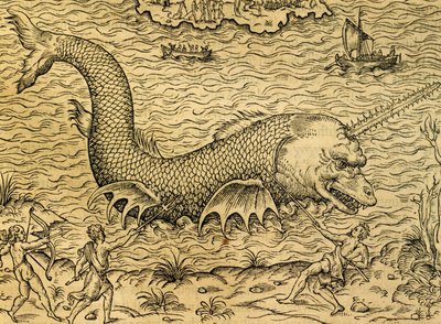 Monstre marin, gravure de la Cosmologie Universelle, par André Thevet (1504-1592), Paris - Andre Thevet