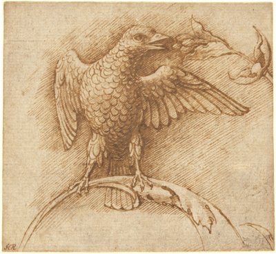 Un oiseau perché sur une branche avec des fruits - Andrea Mantegna