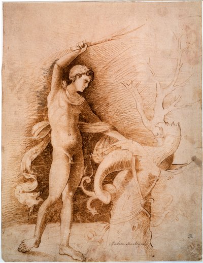 Jeune homme combattant le dragon, fin du 15ème siècle - Andrea Mantegna