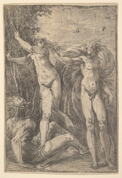 Apollon et Daphné, vers 1538-40 - Andrea Schiavone