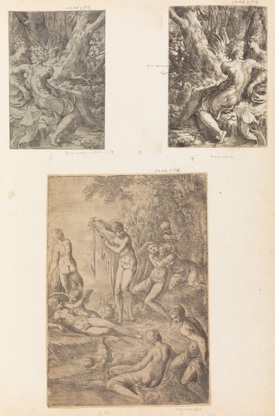 Nymphes se baignant, probablement vers 1545-1550 - Andrea Schiavone