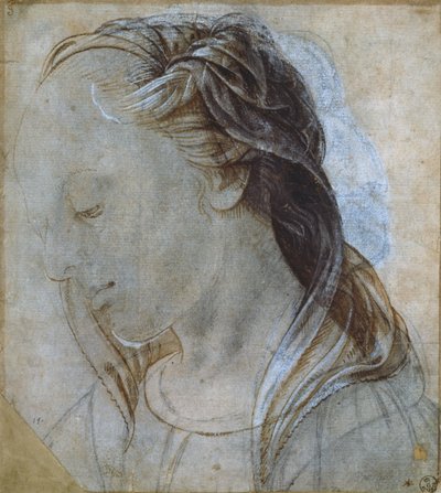 Tête de femme - Andrea Verrocchio