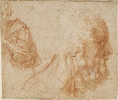 Un jeune homme et la tête d