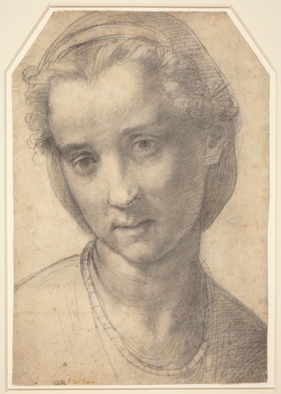  - Andrea del Sarto