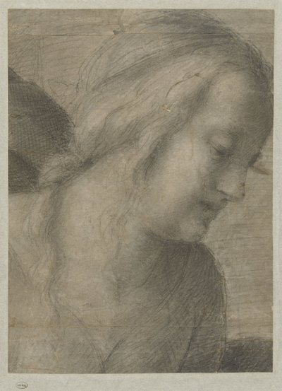 Tête de Marie, dans une Adoration - Andrea del Sarto