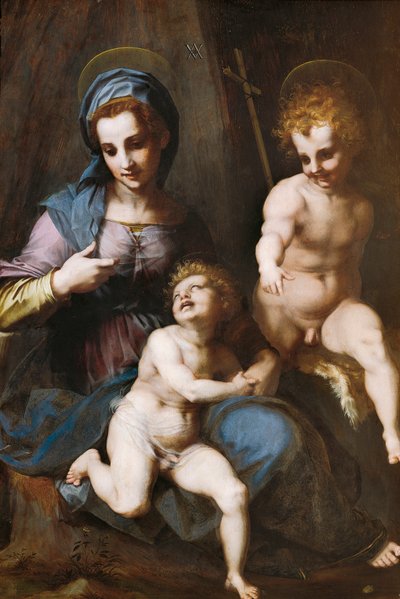 Madone et Enfant avec le petit Saint Jean-Baptiste - Andrea del Sarto