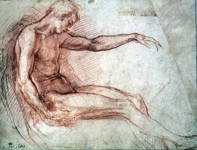 Homme nu assis - Andrea del Sarto