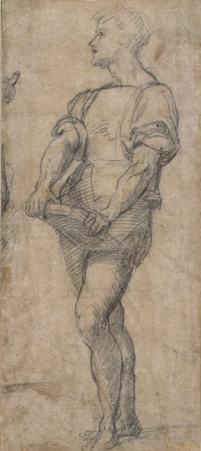 Jeune homme debout tenant un livre, vers 1515 - Andrea del Sarto