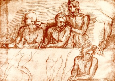 Études pour la Cène - Andrea del Sarto