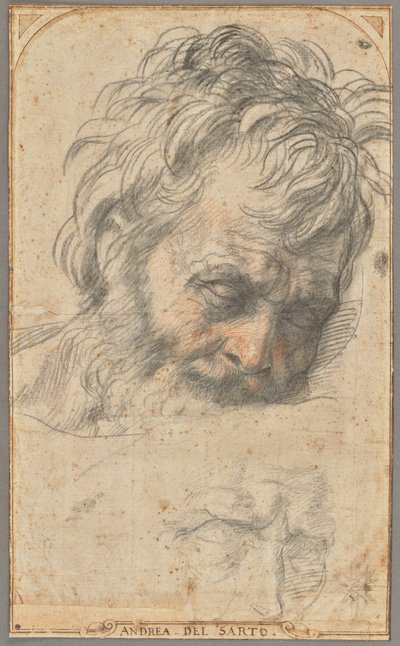 Etude pour la tête de Saint Joseph (recto) ; Deux études de jambes (verso) - Andrea del Sarto