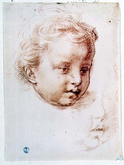 Étude de la tête d