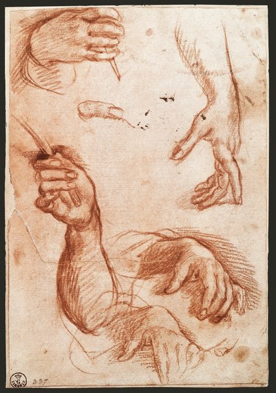 Étude de mains - Andrea del Sarto