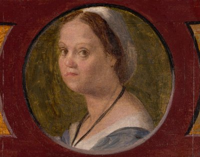 La Femme de Domenico da Gambassi - Andrea del Sarto