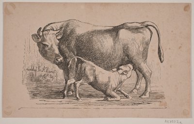 La vache et le veau - Andreas Flinch