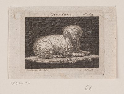 Giordano, un chien couché - Andreas Flint