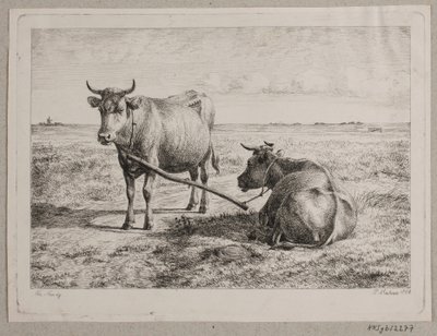Danois : deux vaches reliées entre elles - Andreas Peter Madsen