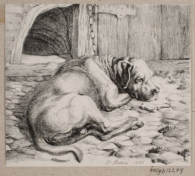 Un chien enchaîné endormi - Andreas Peter Madsen