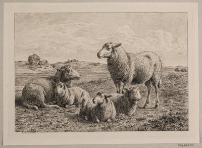 Moutons et agneaux dans le champ - Andreas Peter Madsen