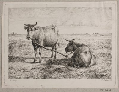 Deux vaches attachées ensemble - Andreas Peter Madsen