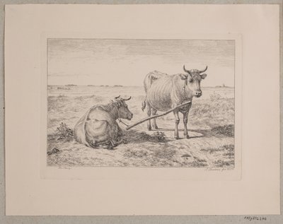 Deux vaches attachées ensemble - Andreas Peter Madsen