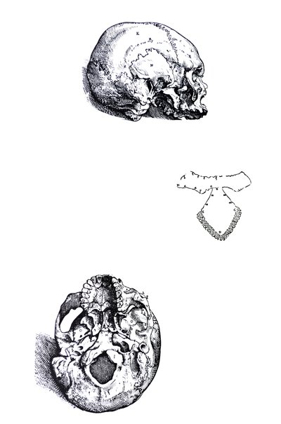 Les planches du premier livre de la De Humani Corporis Fabrica - Andreas Vesalius