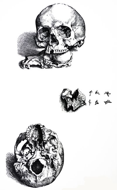 Les planches du premier livre de De Humani Corporis Fabrica - Andreas Vesalius
