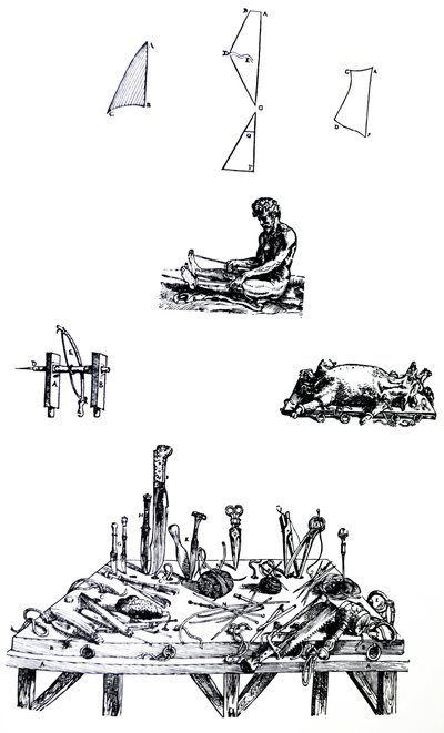 Les Planches du Deuxième Livre de De Humani Corporis Fabrica - Andreas Vesalius