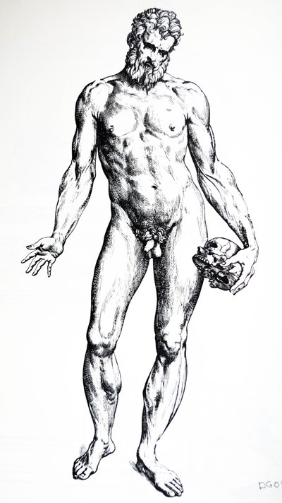 Les Planches du septième livre de De Humani Corporis Fabrica - Andreas Vesalius