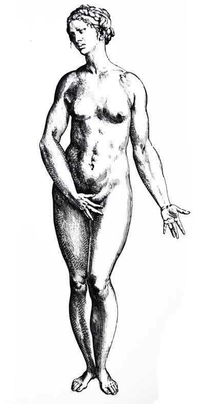 Les planches du septième livre de De Humani Corporis Fabrica - Andreas Vesalius