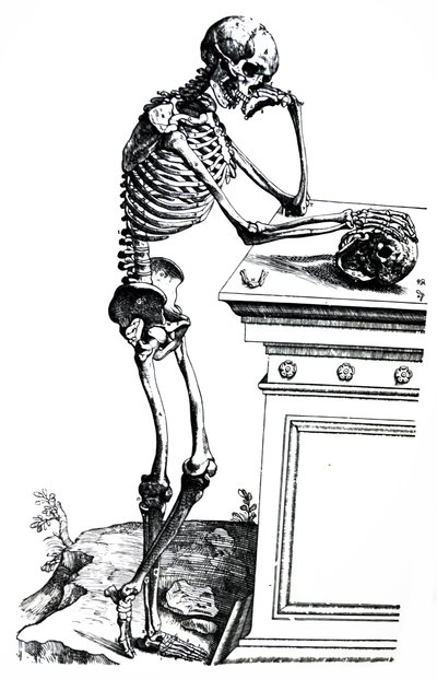 Les planches du septième livre de De Humani Corporis Fabrica - Andreas Vesalius