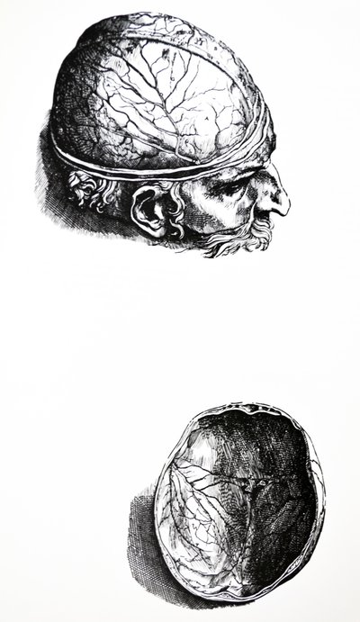 Les Planches du Septième Livre de De Humani Corporis Fabrica - Andreas Vesalius