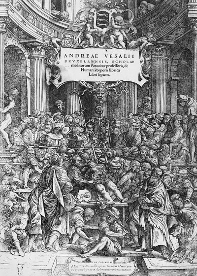 Page de titre de De humani corporis fabrica - Andreas Vesalius