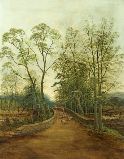 Le vieux pont d