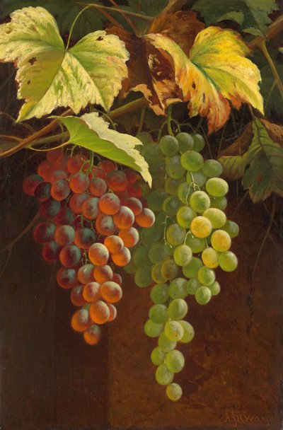 Deux grappes de raisin, s.d. (huile sur toile) - Andrew John Henry Way