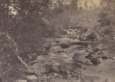 Arlington Mills, 1863 (photo) - Andrew Joseph Russell