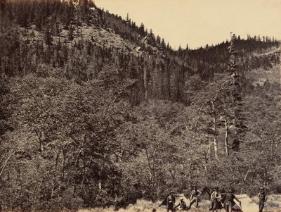Planche 19. Parmi les arbres à la tête de la rivière Little Laramie, 1869 (photo) - Andrew Joseph Russell