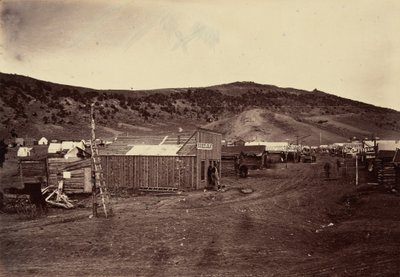 Planche 29. Bear River City, près des champs de charbon, 1869 (photo) - Andrew Joseph Russell