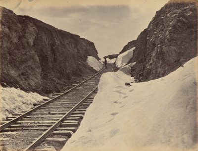 Planche 5. Coupe de Hall, 1869 (photo) - Andrew Joseph Russell